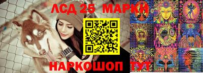 ПСИЛОЦИБИНОВЫЕ ГРИБЫ Камышлов