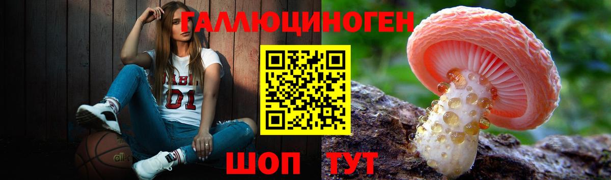 Псилоцибиновые грибы Cubensis Краснознаменск
